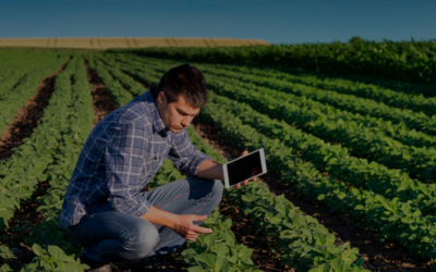MBA em Economia e Gestão do Agronegócio