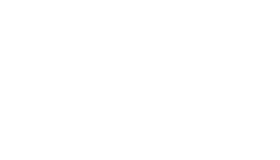 zanini